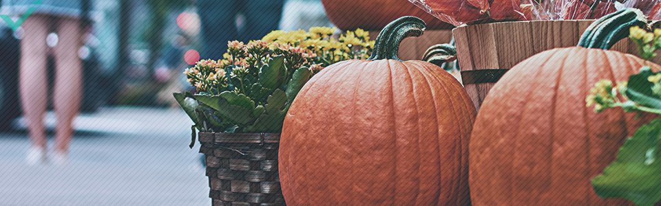 Circa il 48% degli italiani celebra Halloween. 